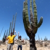 02-cactus-kids-in-the-baja