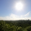 15-tikal-above-the-jungle-canopy