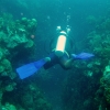 12_Underwater_canyons