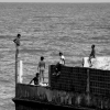 13_Kids_playing_on_the_pier