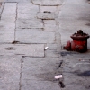 15_More_of_a_tripping_hazard_than_a_fire_hydrant