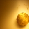 10-a-necklass-with-a-giant-gold-pendant-at-the-gold-museum