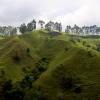 14-all-the-hills-of-the-valley-were-vibrant-green