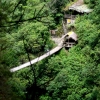 23-visitor-center-of-the-waterfall-nestled-in-the-jungle