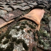 12-moss-covered-roof-tiles-still-try-to-keep-the-pesants-dry-in-their-mud-houses