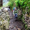 19-large-sections-of-the-path-were-lined-with-rock-walls-guarding-fields-and-pastures