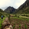 22-we-walked-past-dozens-of-simple-farming-plots-you-can-see-a-crude-grass-shelter-at-the-end-of-the-field-this-was-the-common-dwelling-of-the-farmers