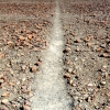 19-the-lines-were-made-by-clearing-paths-through-the-boulder-strewn-desert