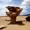 24-the-wind-carved-strange-sculptures-into-the-rocks-of-the-desert