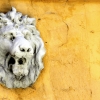 19-lion-faces-decorated-the-fountain