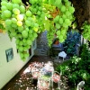 24-pablo-nerudas-garden