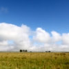 41-a-large-majority-of-argentina-is-the-never-ending-flat-grass-covered-pampas