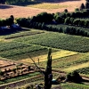 03-from-the-lookout-we-could-see-see-fields-streatching-down-the-valley