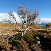 29-crossing-back-into-argentina-the-land-started-to-become-dry-and-barren-once-again