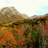 08-autum-was-coming-and-the-foliage-was-turning-deep-colors-of-red-and-orange