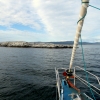 29-we-sailed-close-to-a-small-rocky-island-covered-with-sea-birds