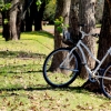 05-we-borrowed-bikes-from-the-tourist-office-for-free-and-toured-the-countryside