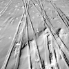 61-skiers-tracks-arriving-at-the-pole-after-many-weeks-of-hard-traveling