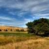 10-i-stopped-for-a-second-to-take-a-photo-of-this-cube-shaped-tree