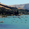 13-on-one-side-of-the-harbor-sits-the-small-town-of-akaroa