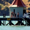 21-kids-jumping-from-the-pier-after-school