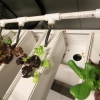 14-all-the-plants-are-grown-by-hydroponics-because-the-antarctic-treaty-prohibits-brining-soil-to-the-pole