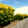 02-headed-out-of-christchurch-on-a-long-empty-road