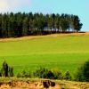 12-the-rolling-field-covered-hills-were-a-palate-of-different-shades-of-green