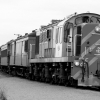 32