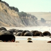 06-the-boulders-were-formed-as-crystalizing-mud-on-the-floor-of-an-ancient-shallow-sea