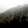 02-the-road-to-milford-sound-was-shrowded-in-mist-and-a-thousand-waterfalls-came-down-the-cliffs-on-every-side