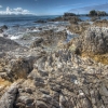 01-back-on-the-east-coast-we-were-eager-to-visit-the-kaikora-penninsula-renouned-for-its-abundance-of-ocean-life