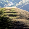 11-the-peninsual-was-aslo-the-aniant-home-to-maori-tribes-who-built-their-forts-on-the-top-of-stepped-hills-for-protection