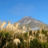 18-the-volcano-has-an-irresistible-pull-to-it-we-werent-long-living-in-its-shadow-before-we-decided-that-we-should-try-to-climb-it