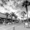 15-napier-is-a-small-town-on-the-north-islands-east-coast-which-is-known-for-its-wine-and-its-art-deco-architecture