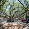 35-this-huge-banyan-tree-stretches-across-lahainas-entire-main-plaza-each-trunk-in-the-photo-is-the-same-tree