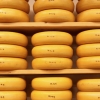 24-i-much-prefer-cheese-though