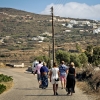 35-walking-home-from-the-winery