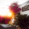 82-our-last-dinner-on-the-island-was-at-a-great-restaurant-across-the-street-from-our-vrbo-jm