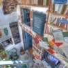 21-santorinis-famous-book-store