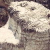 10-ancient-blocks-of-limestone-weathered-for-centuries