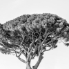 060